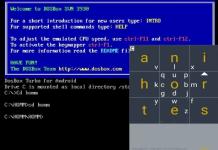 Come eseguire vecchi giochi sotto DOS tramite DosBox